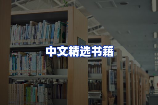 中文精选书籍